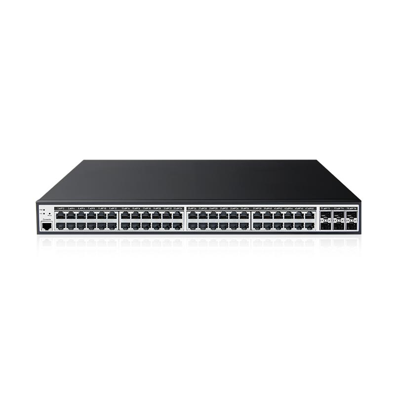 48 Port Switch