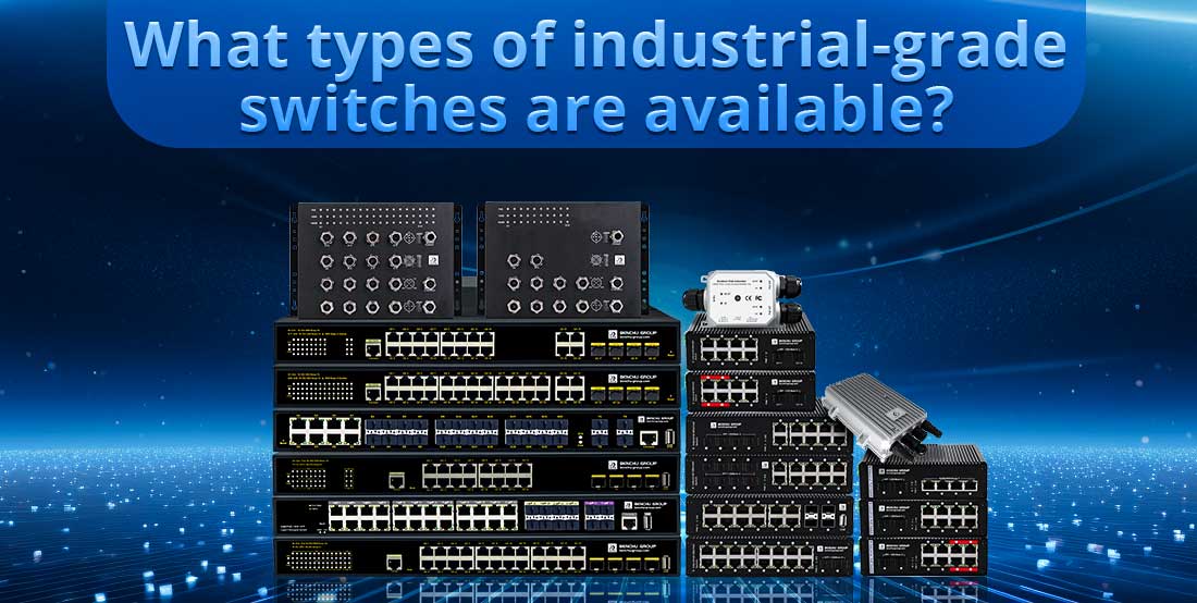 What types of industrial-grade switches are available?