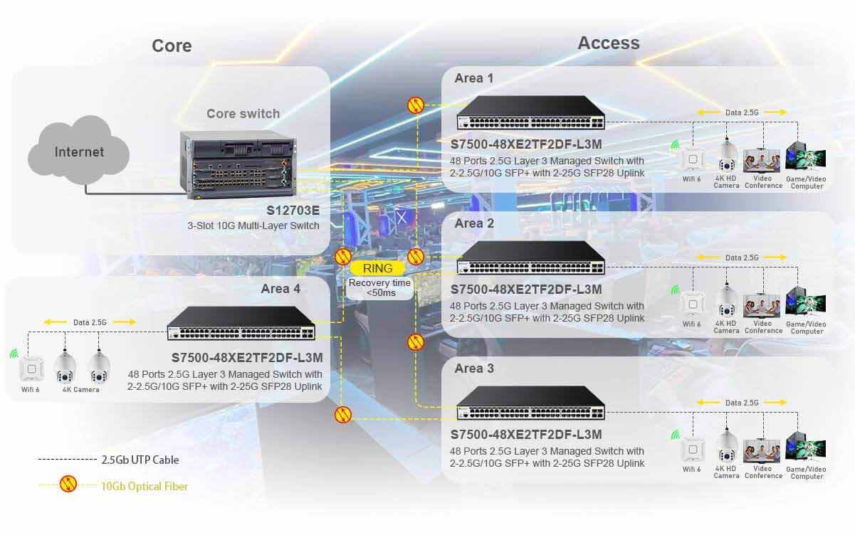 48 Port 2.5G switch